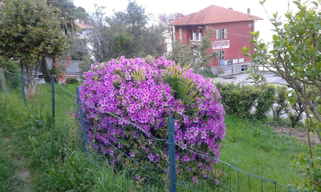 Vanni'S House กันโนบีโอ ภายนอก รูปภาพ